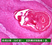 3118云顶集团(中国区)官方网站