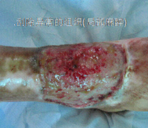3118云顶集团(中国区)官方网站
