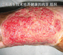3118云顶集团(中国区)官方网站