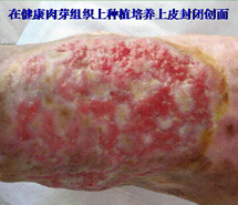 3118云顶集团(中国区)官方网站