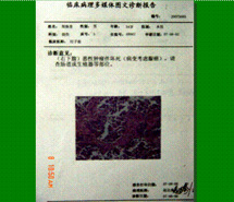 3118云顶集团(中国区)官方网站