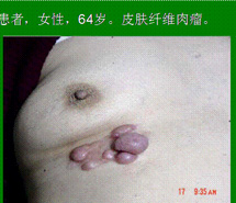 3118云顶集团(中国区)官方网站