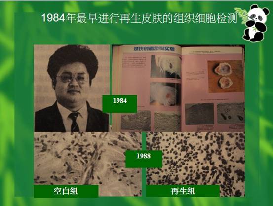 3118云顶集团(中国区)官方网站