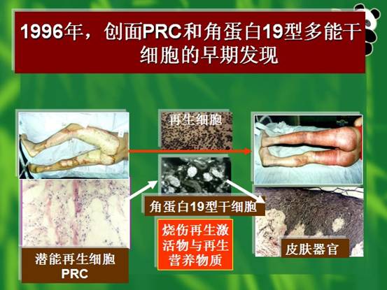 3118云顶集团(中国区)官方网站