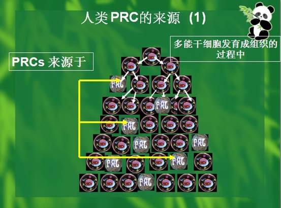 3118云顶集团(中国区)官方网站