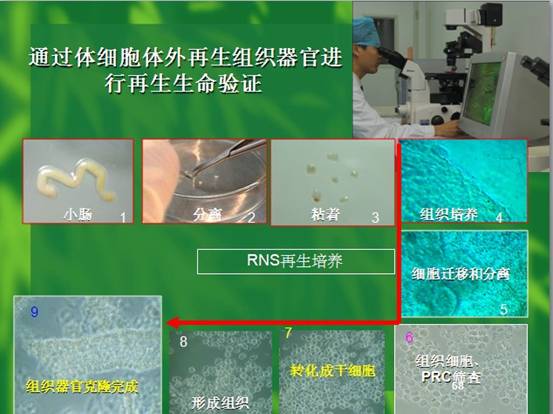 3118云顶集团(中国区)官方网站