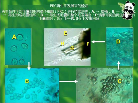 3118云顶集团(中国区)官方网站