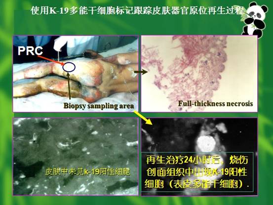 3118云顶集团(中国区)官方网站