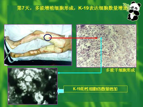 3118云顶集团(中国区)官方网站