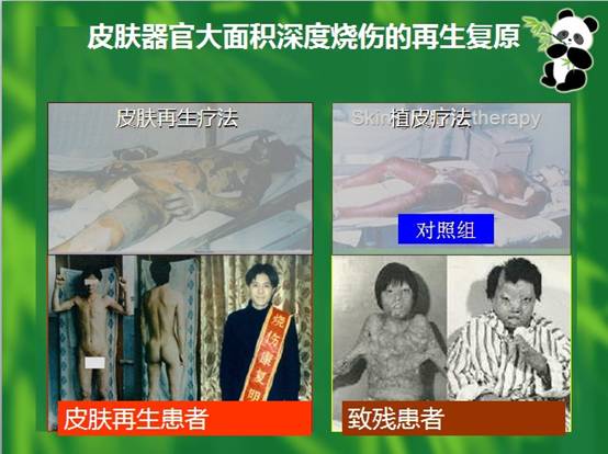3118云顶集团(中国区)官方网站