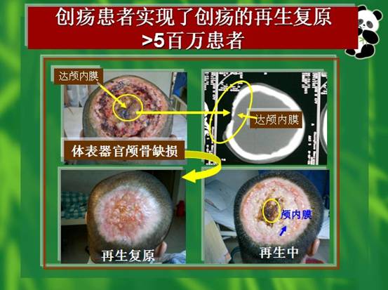 3118云顶集团(中国区)官方网站
