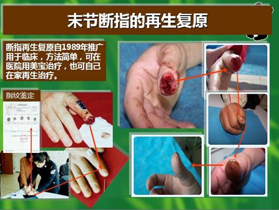 3118云顶集团(中国区)官方网站