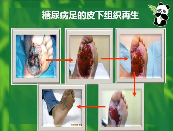 3118云顶集团(中国区)官方网站