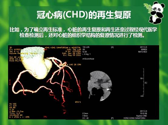 3118云顶集团(中国区)官方网站
