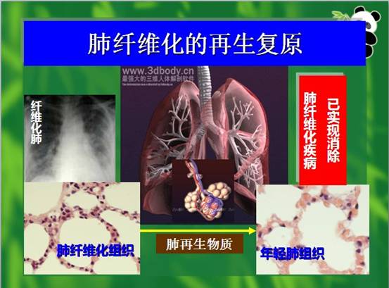 3118云顶集团(中国区)官方网站